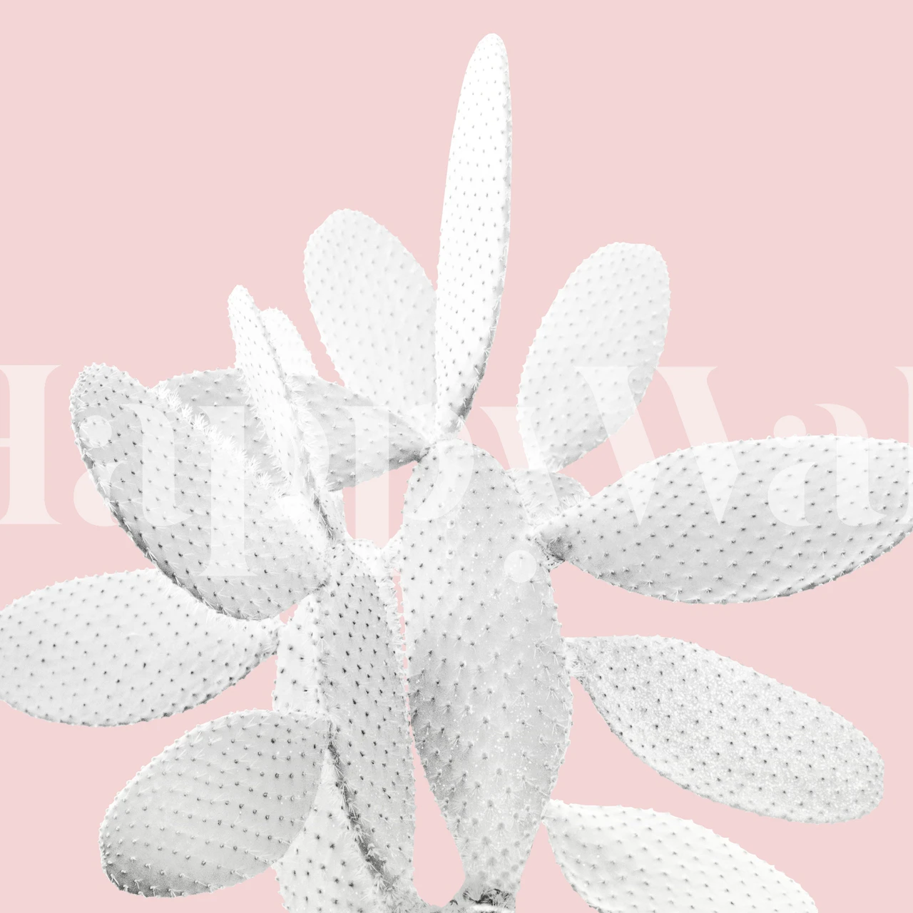 Fototapeta Stylizovaný design bílého kaktusu na růžovém pozadí