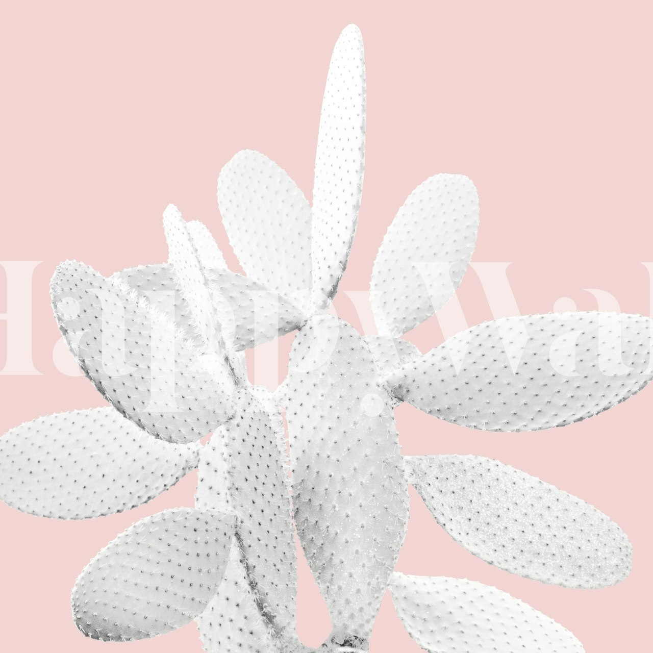White cactus design on pink background wallpaper