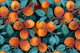 Apricot garden