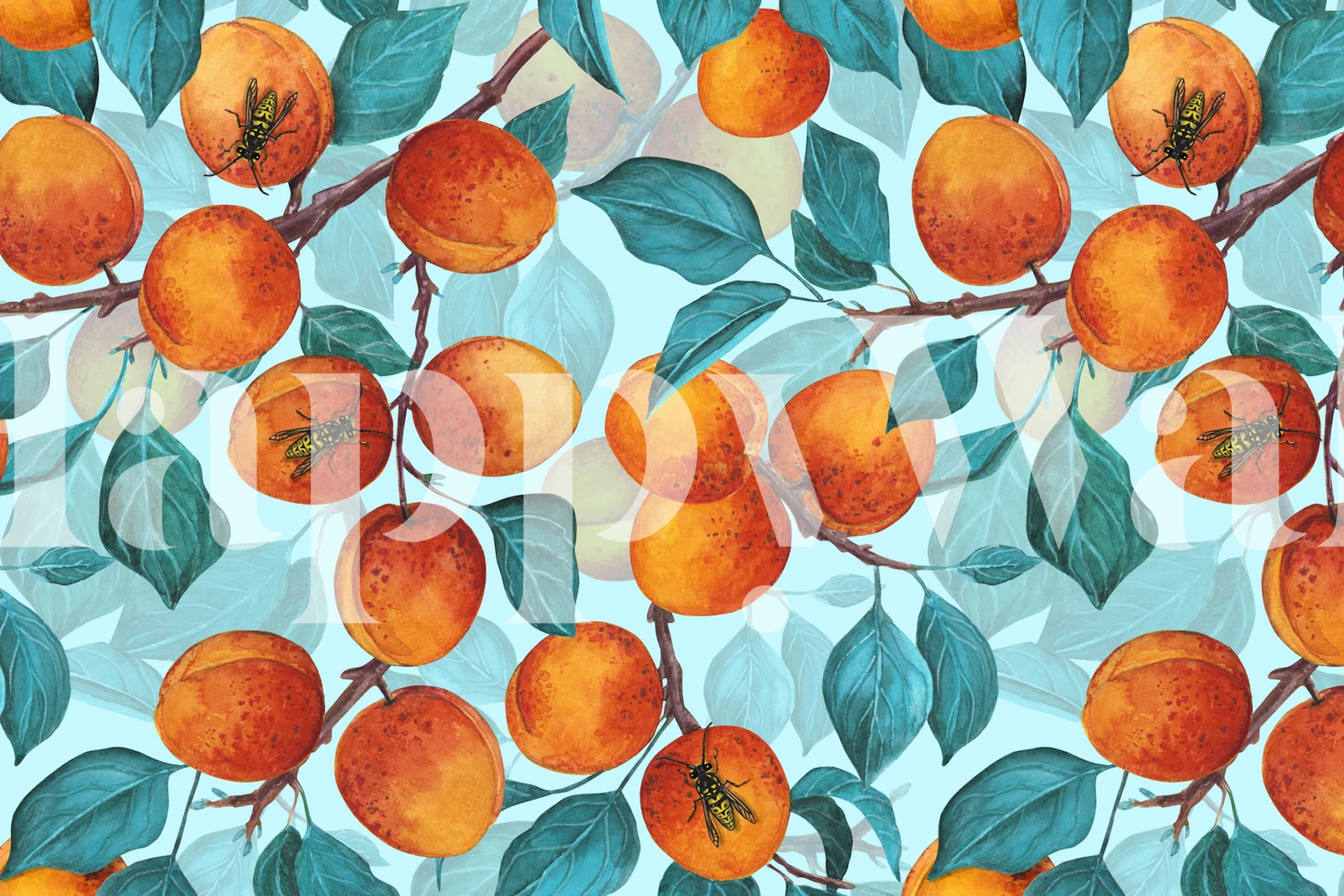Apricot fruits and green leaves on a light blue background wallpaper