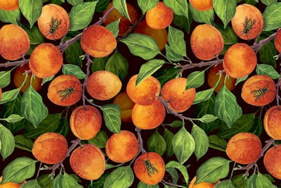 Τοιχογραφία