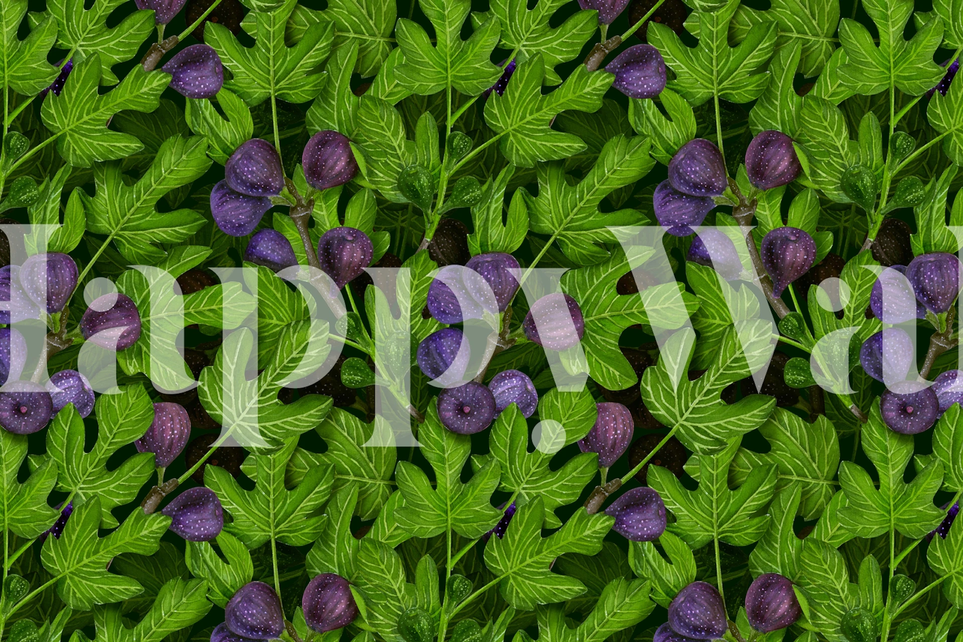 Green fig branches with purple figs on wallpaper