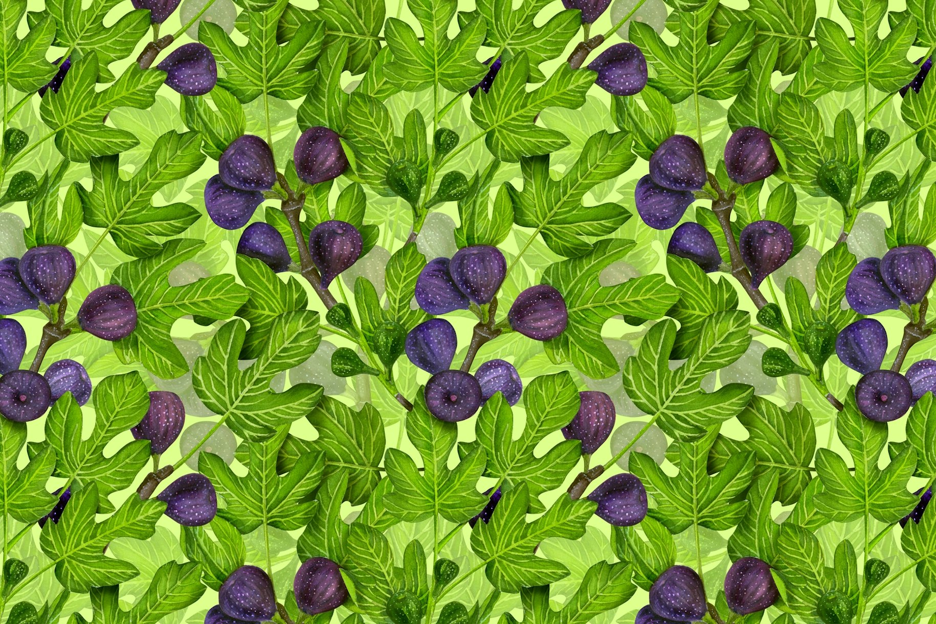 Fig Branches 2 Wallpaper - Buy Online at Happywall