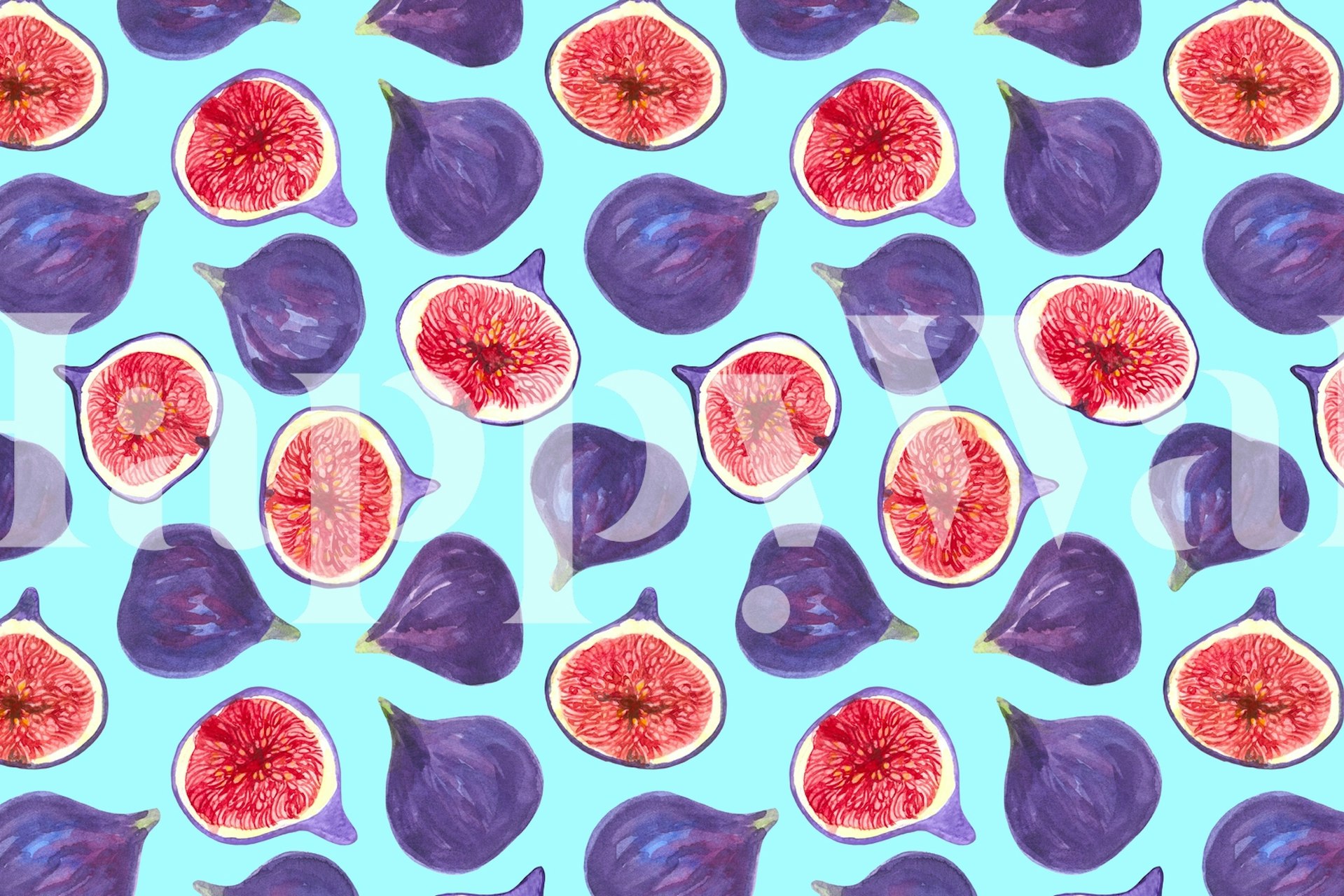Figs and fig slices wallpaper in a room