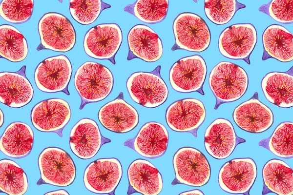 Fig slices watercolor