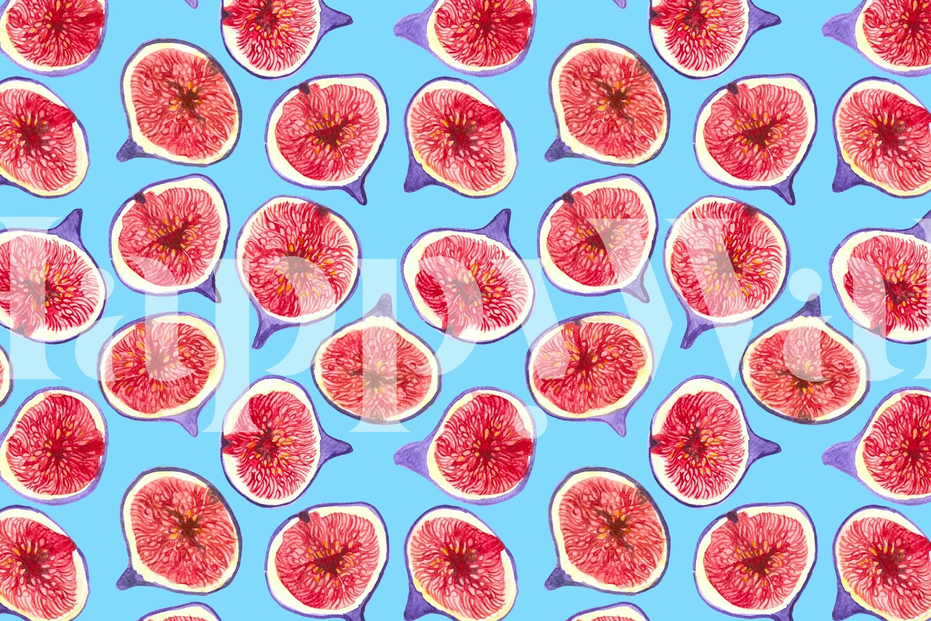 Watercolor fig slices in pink on a blue background wallpaper