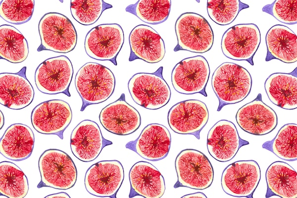 Fig slices watercolor 2