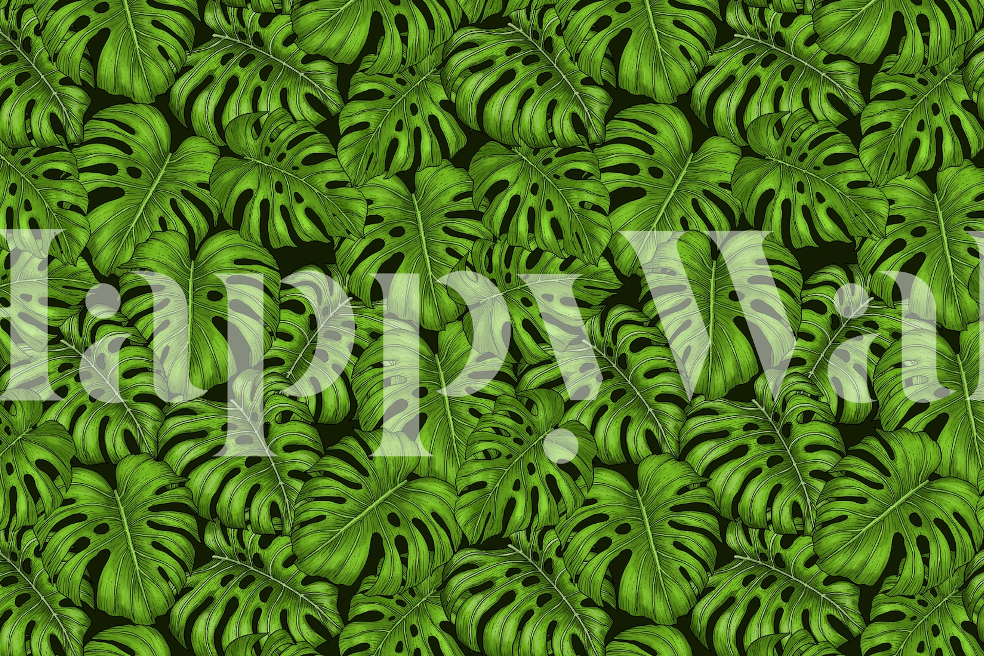 Green Monstera leaves wallpaper with rich tropical design