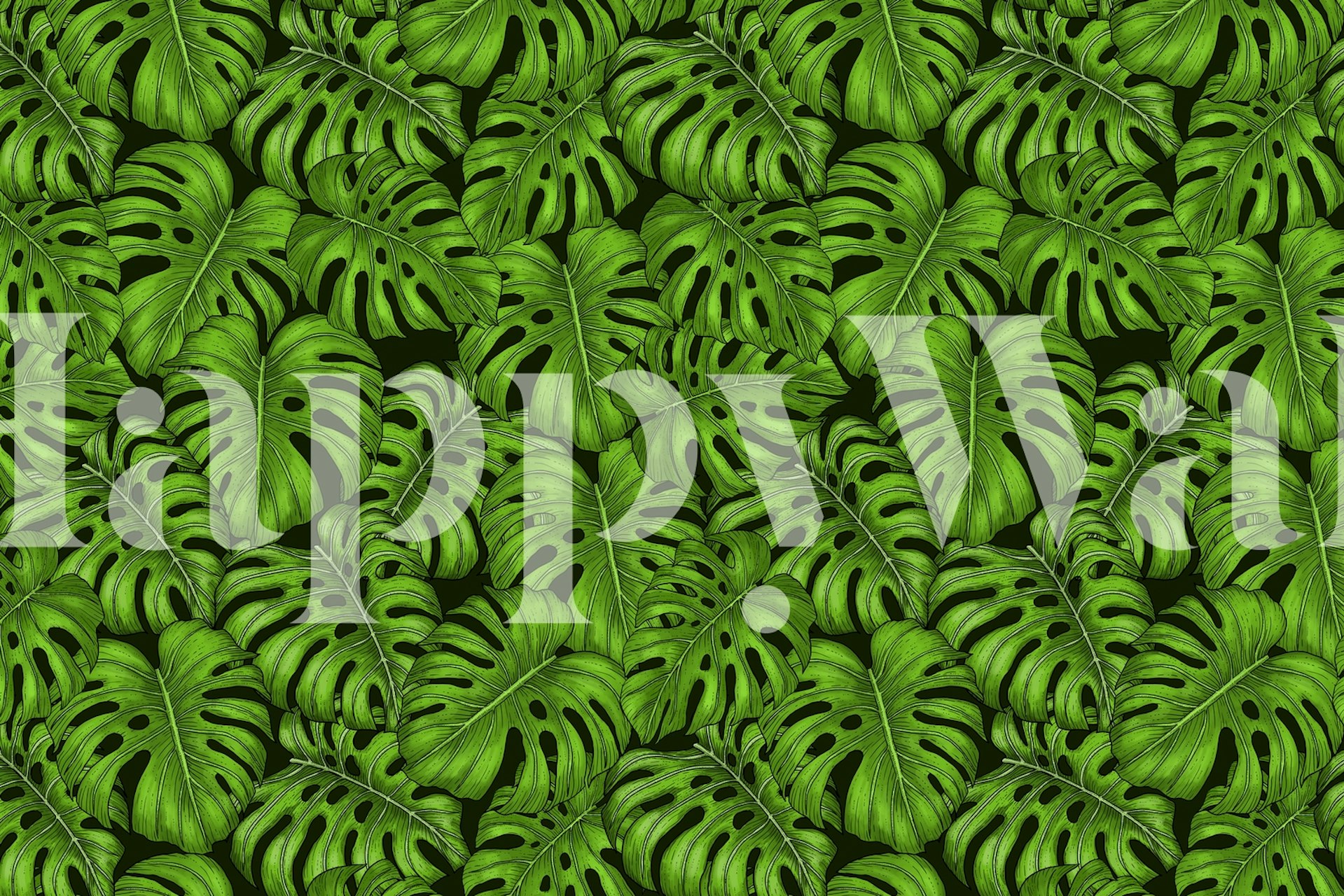 Green Monstera leaves wallpaper with rich tropical design