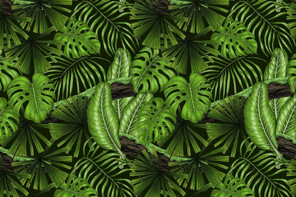 Jungle leaves 3