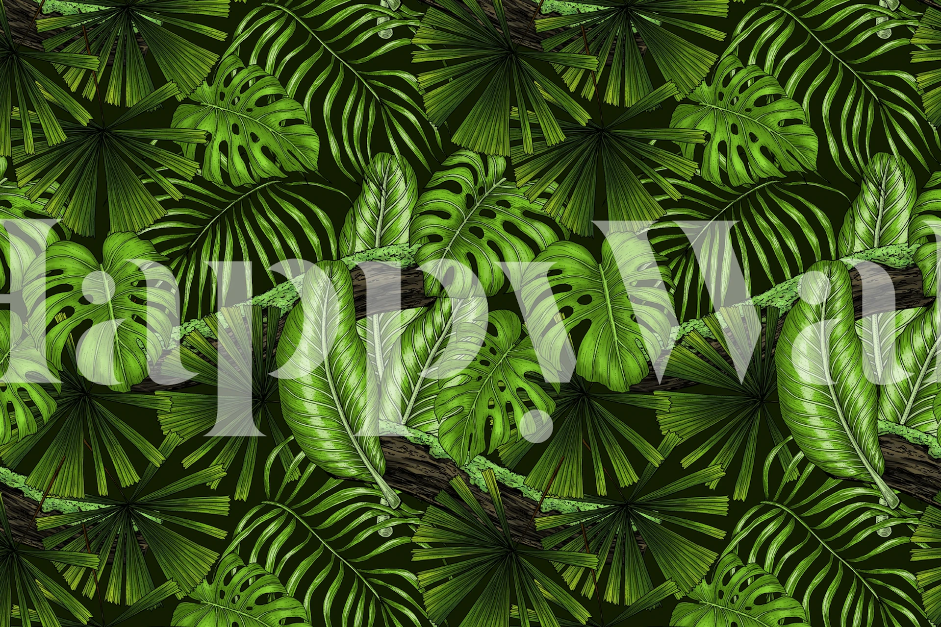Large green monstera leaves on dark background wallpaper