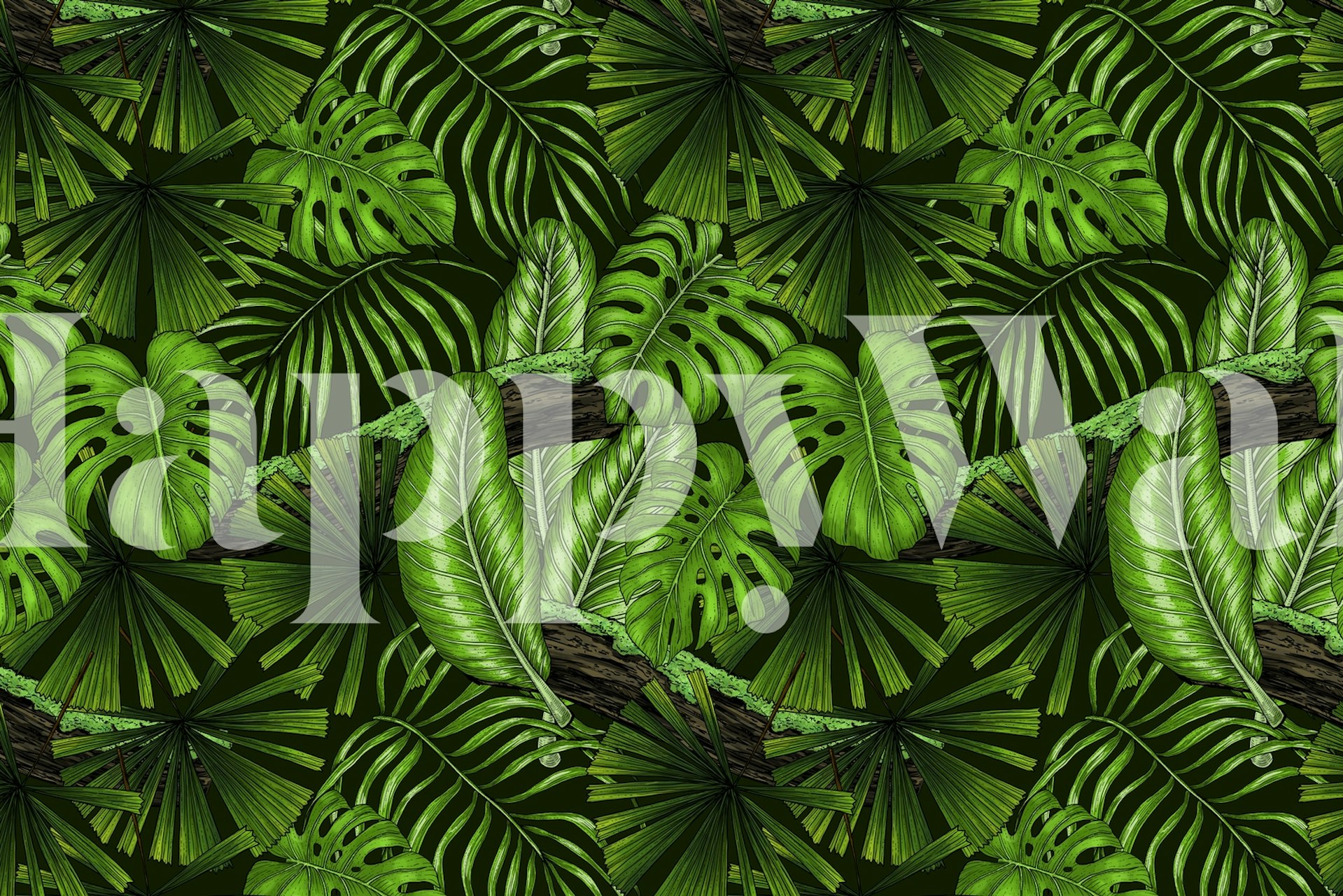 Large green monstera leaves on dark background wallpaper