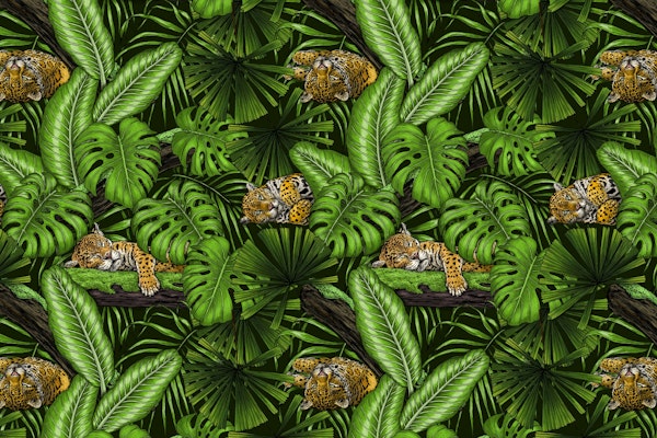 Jungle kitties