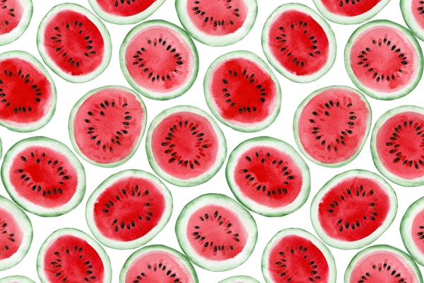 Watermelon slices 4