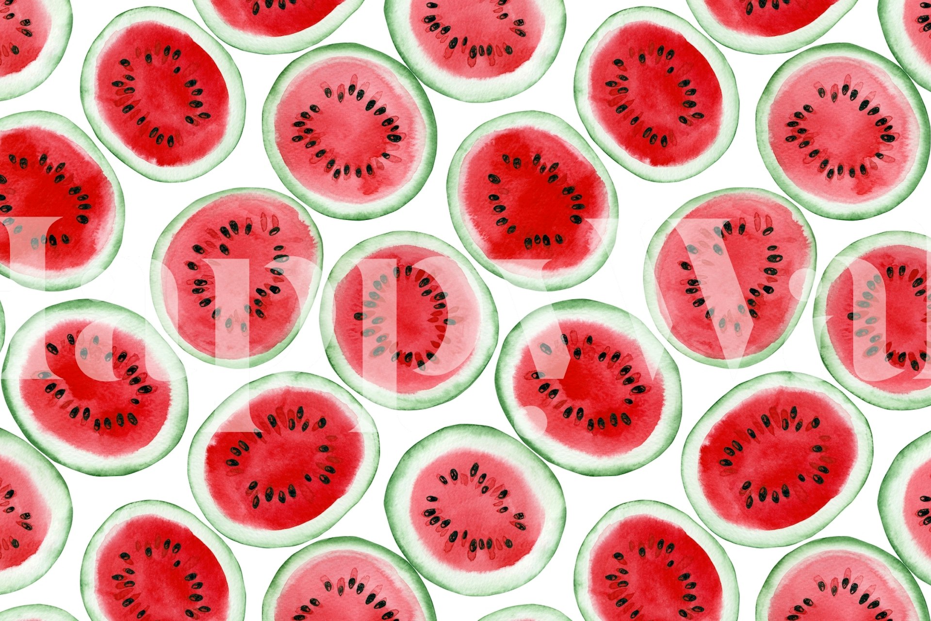 Watermelon slices on white background wallpaper