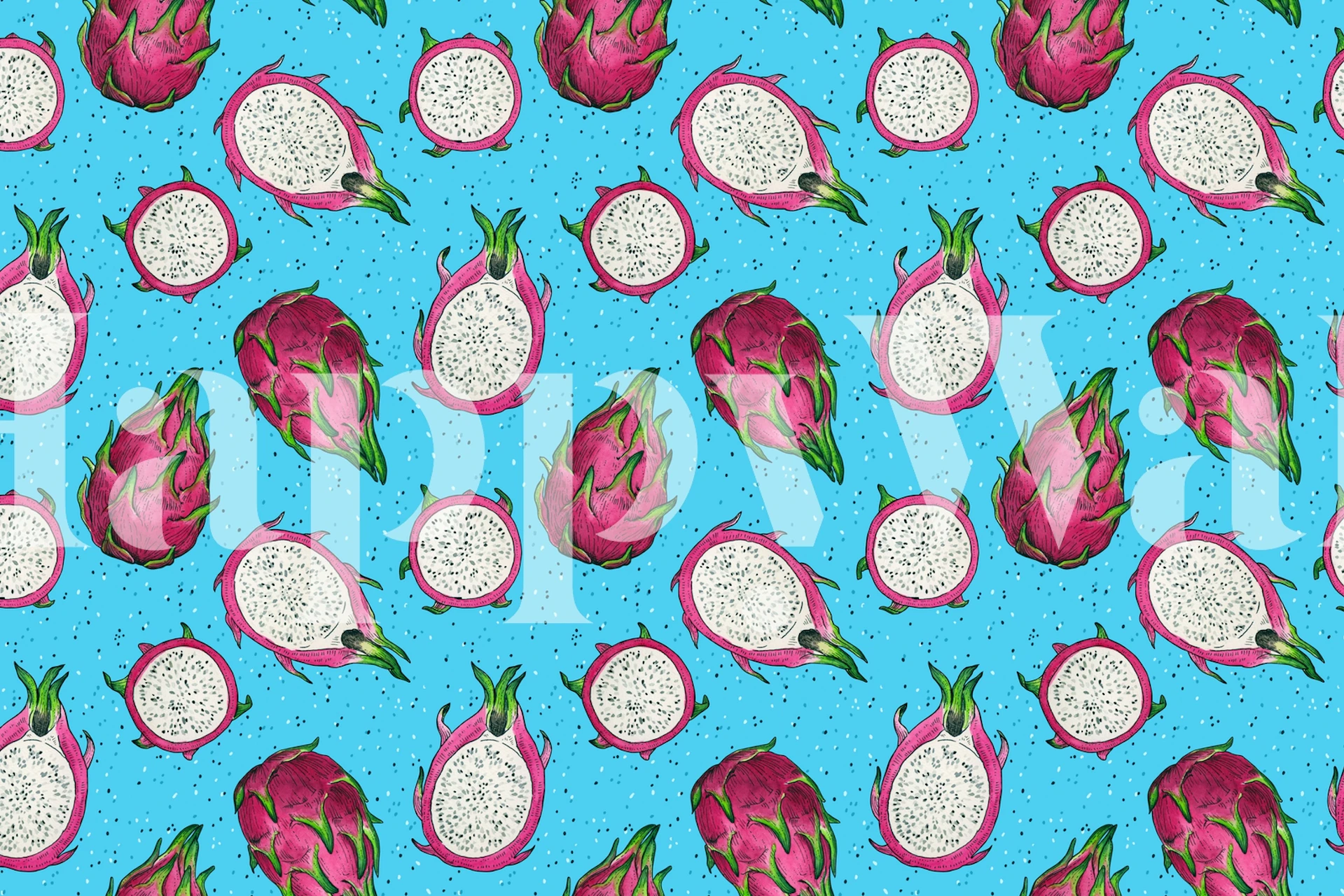 Dragon fruit wallpaper design on blue background