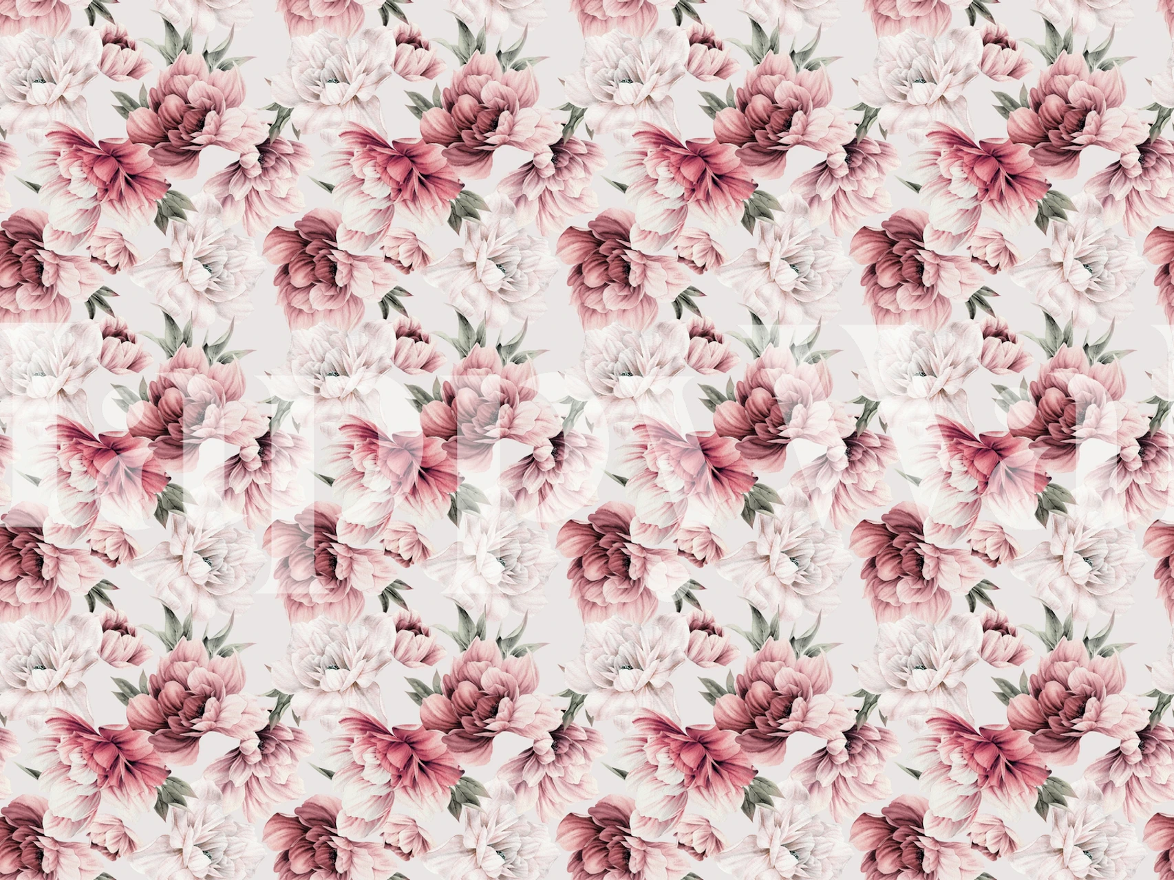 Dizajn cvjetne tapete Red and white peony