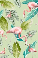 Pastel Flamingo Oasis 1 behang
