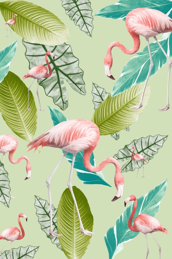 Pastel Flamingo Oasis 1