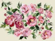 Peony light gray bckg