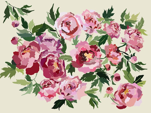 Peony light gray bckg