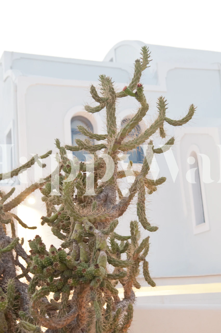 Projekt tapety Cactus w pokoju