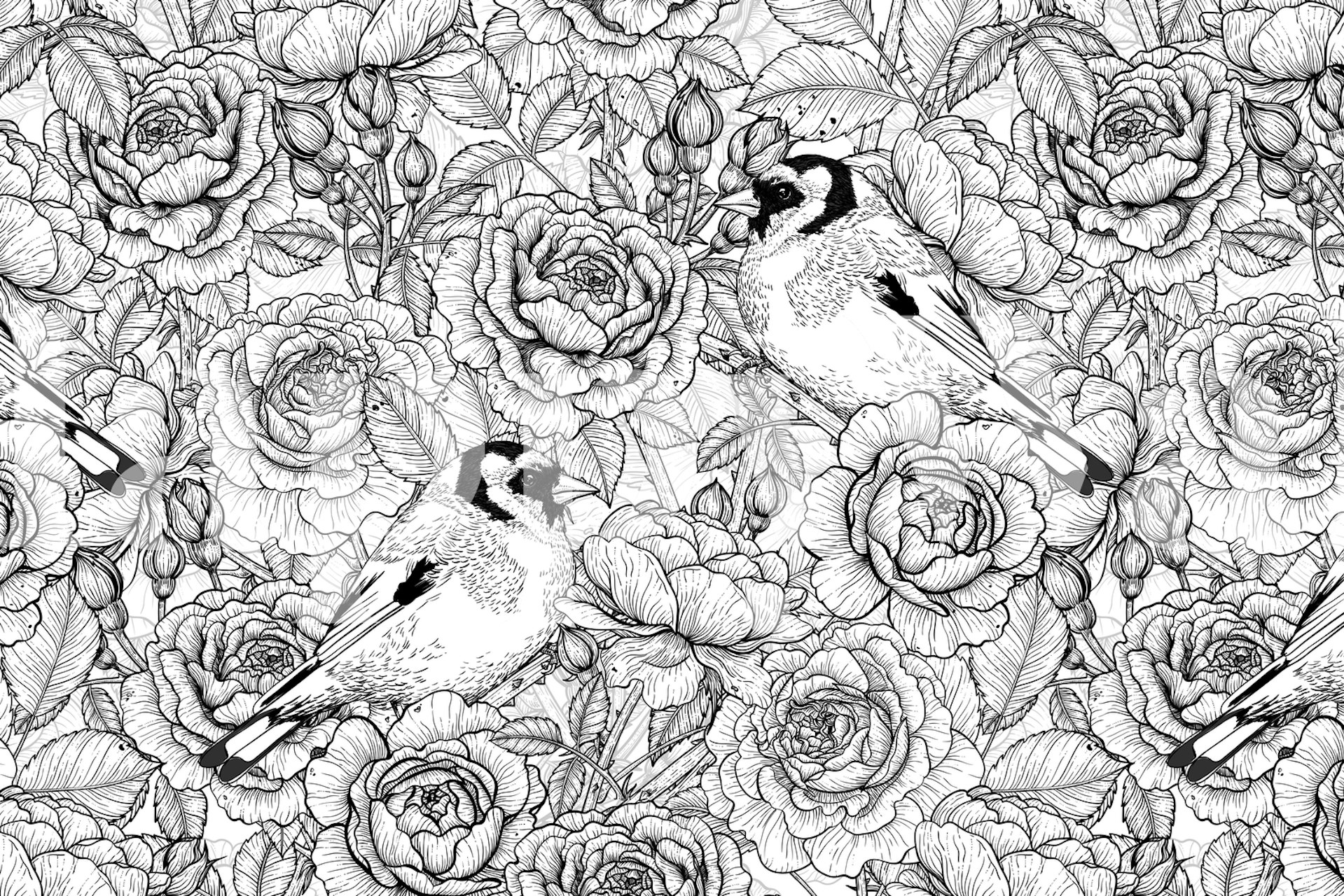 Roses and birds wallpaper displayed in a room