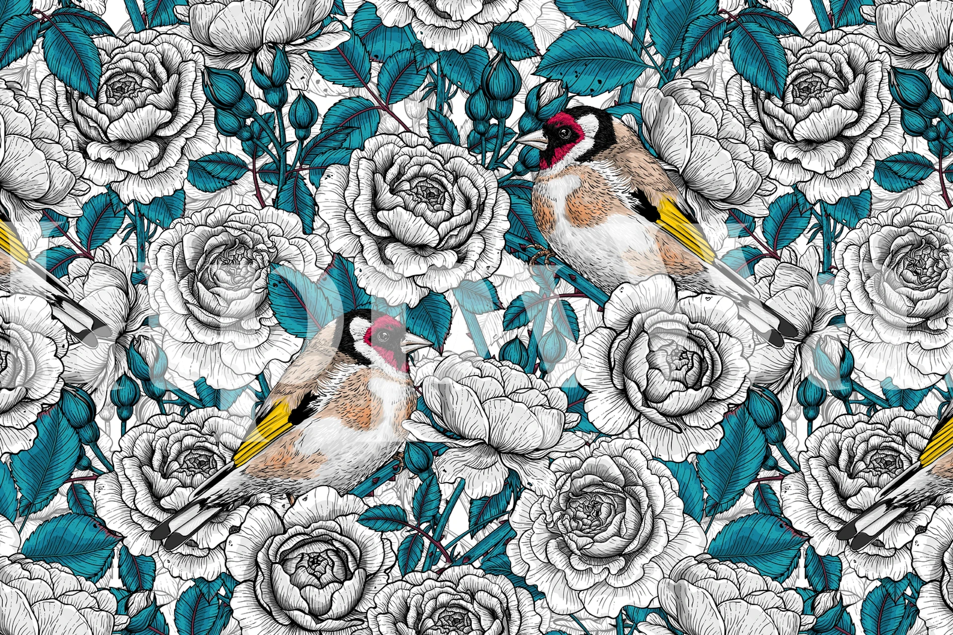 White roses and colorful birds on blue foliage wallpaper