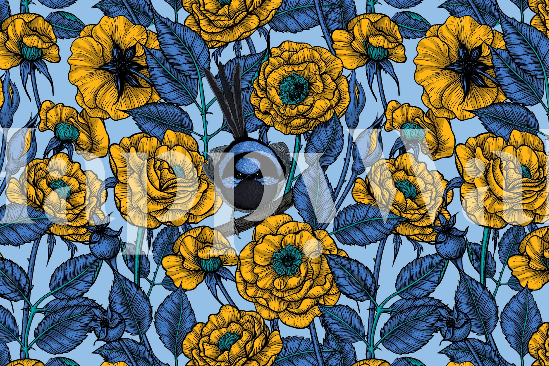 Bezaubernder Zaunkönig zwischen gelben Rosen Fototapete auf blauem Hintergrund