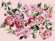 Peony pastel pink bckg
