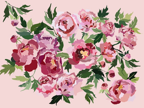 Peony pastel pink bckg