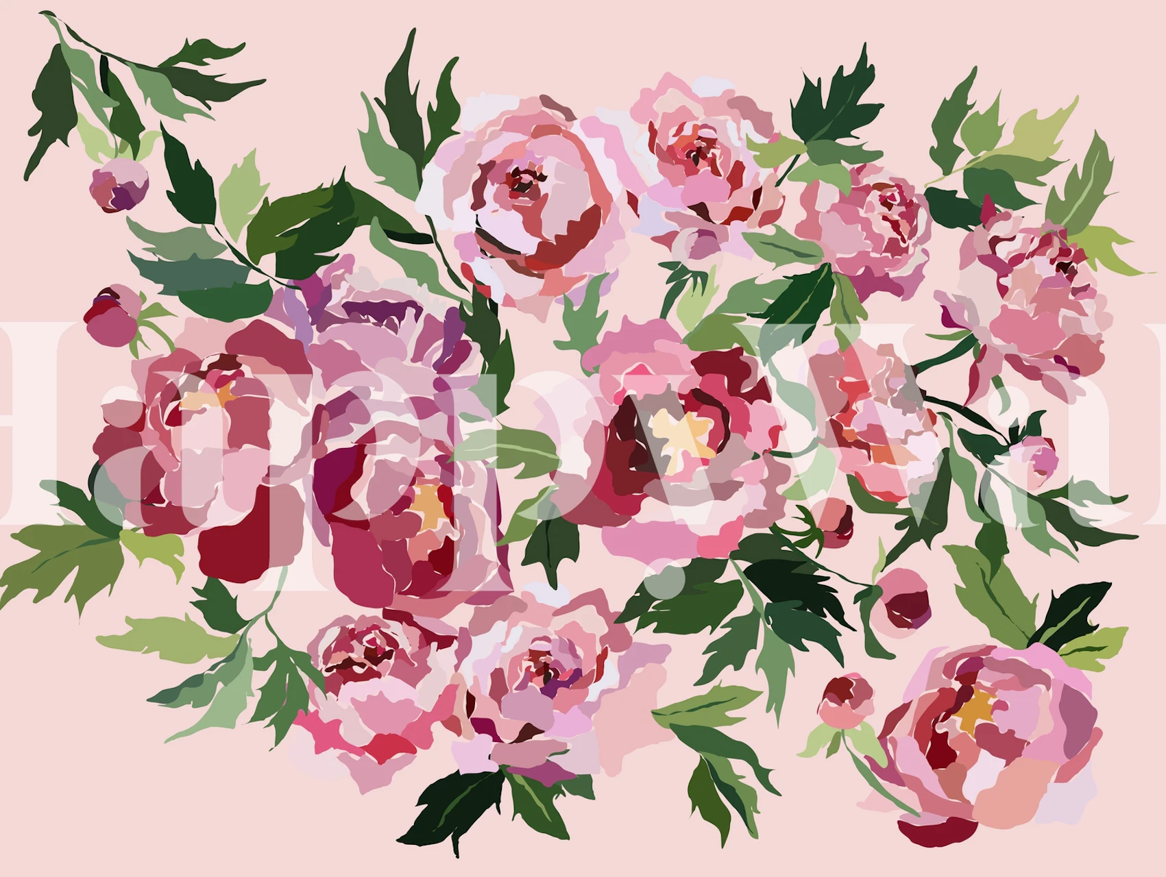 Peony pastel pink floral wallpaper in a room