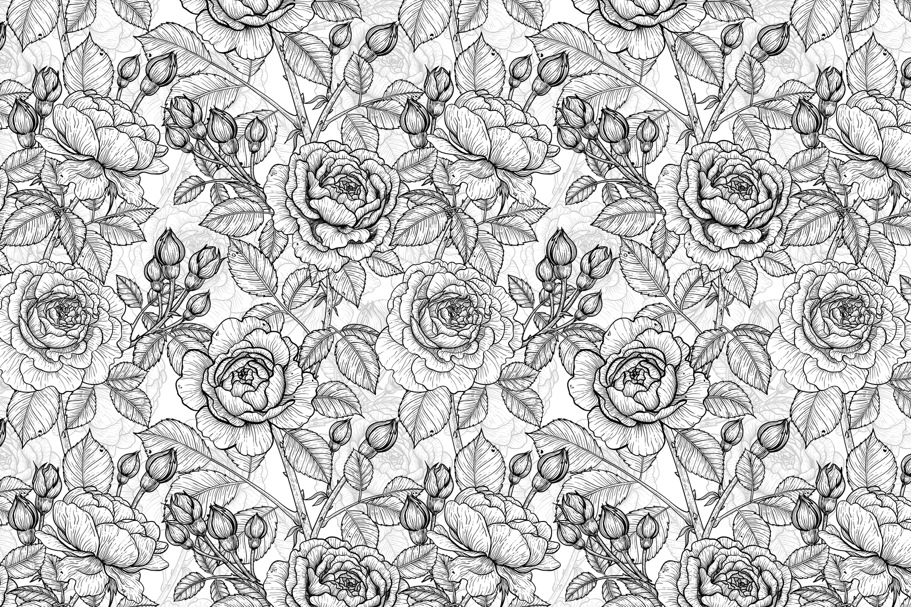 roses-in-black-and-white-wallpaper-happywall