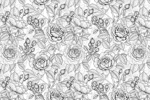 Roses in black and white