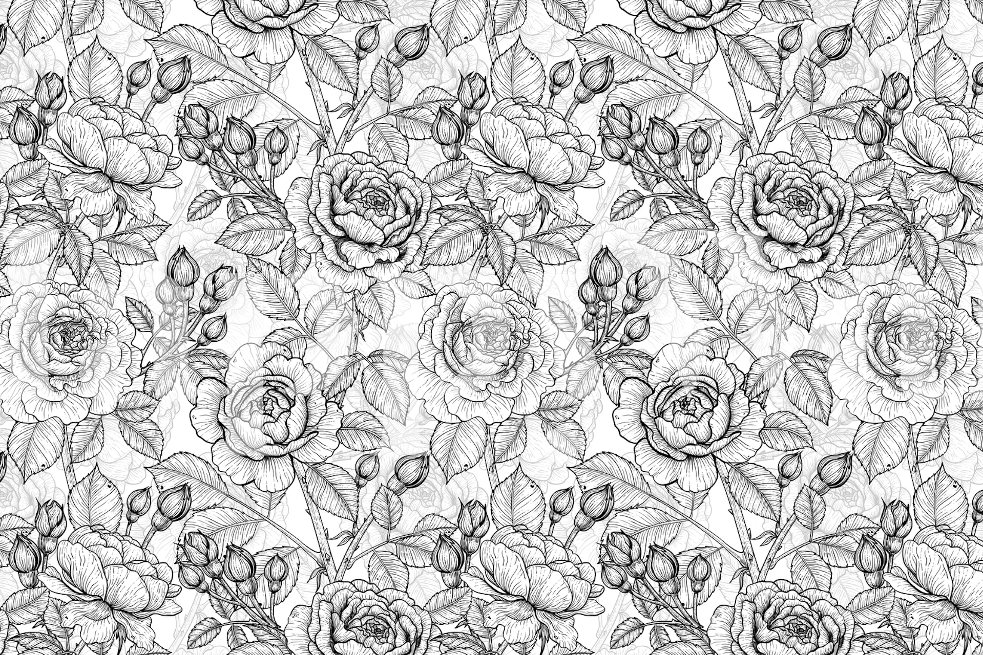 Black and white floral wallpaper with intricate rose designs and leaves.