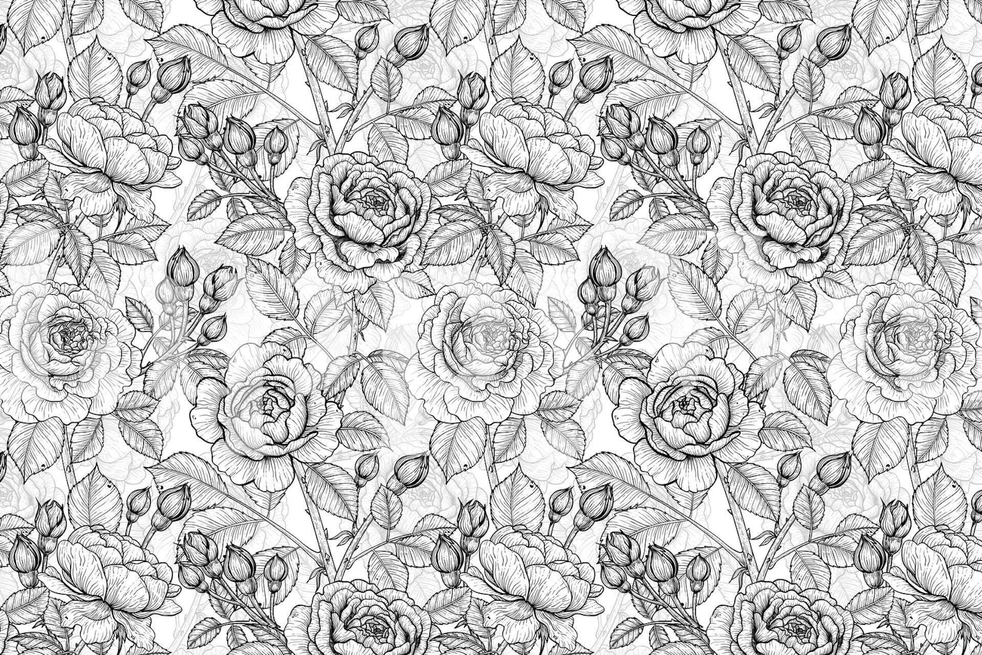 Schwarz und weiß Roses in black and white Design