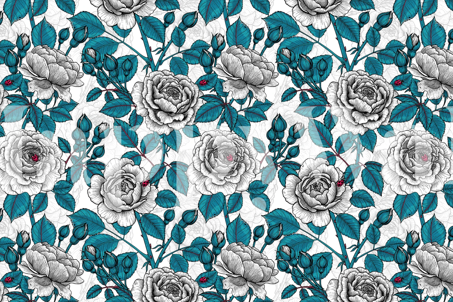 Tapet med vita rosor och ladybugs