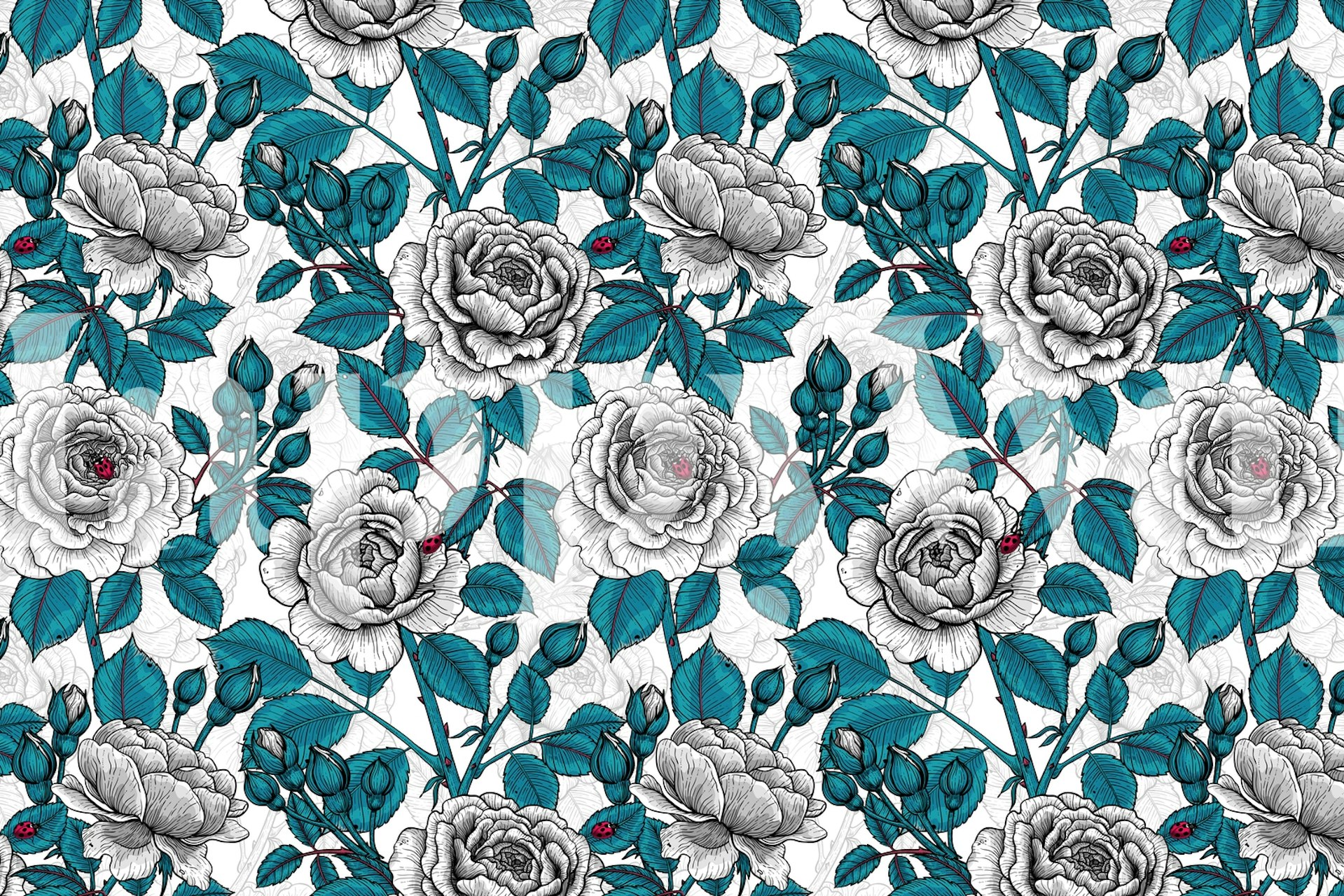 Tapet med hvide roser og ladybugs