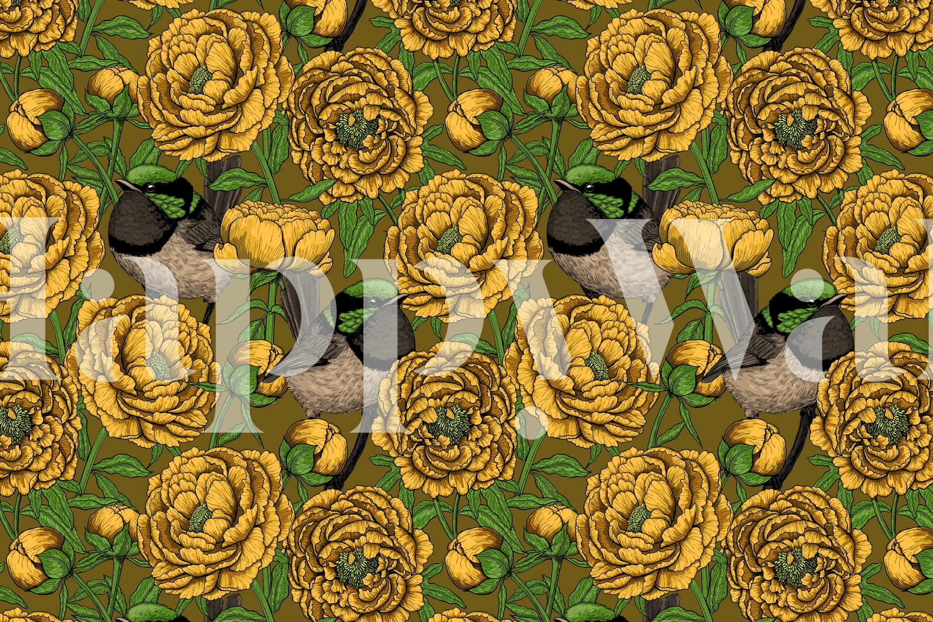 Yellow Peonies and wrens -kuvio