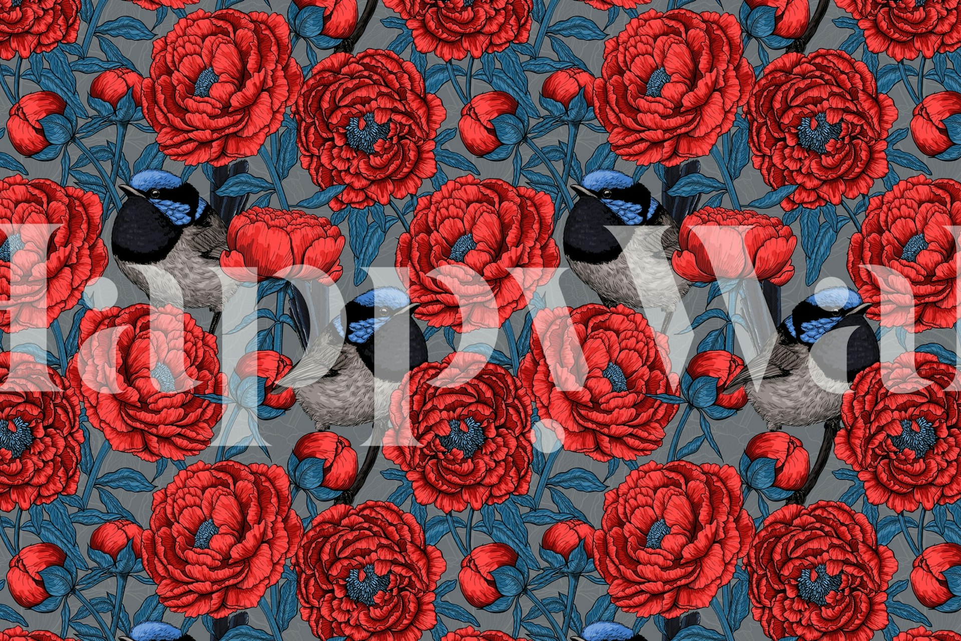 Red peonies and blue wrens on gray background wallpaper
