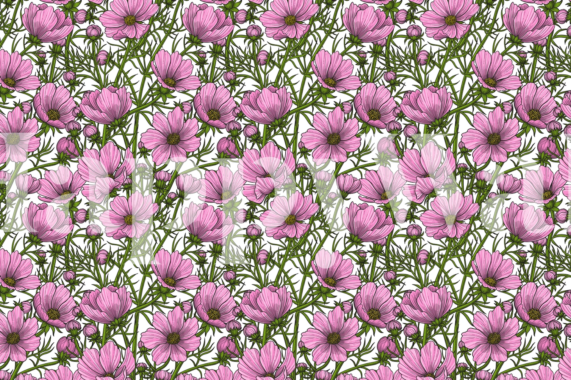 Pink Cosmos flowers tapet i et rom