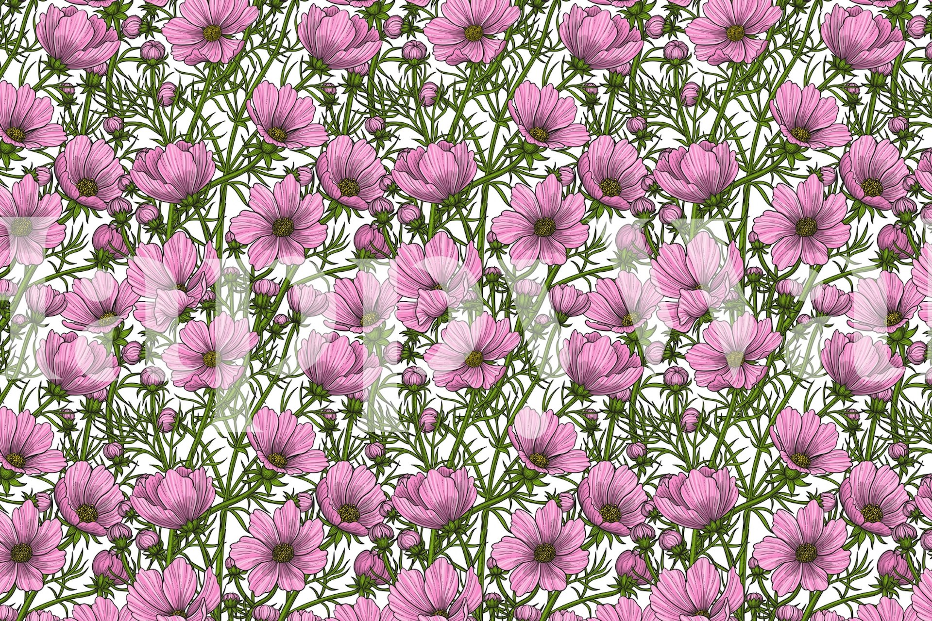 Pink cosmos flowers wallpaper in a room