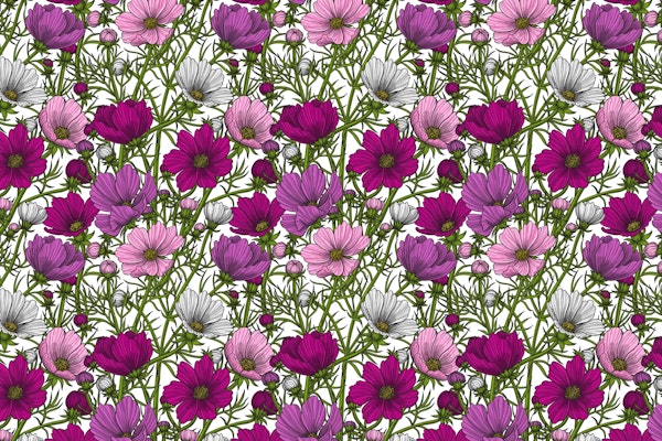 Cosmos flowers mix