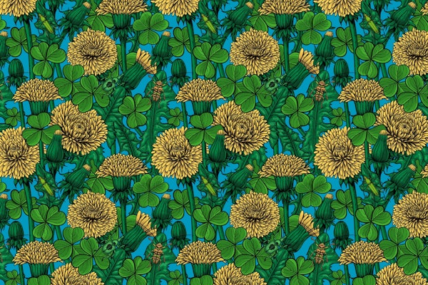 Dandelions and clovers