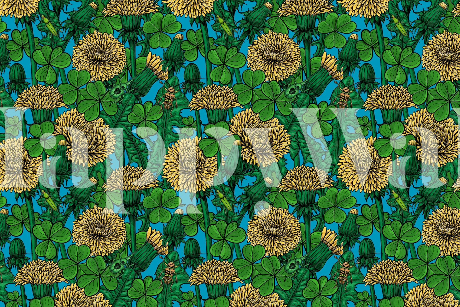 Fototapeta z mleczami i koniczynami na niebieskim tle