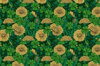 Dandelions and clovers 3 tapeta