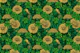 Dandelions and clovers 3