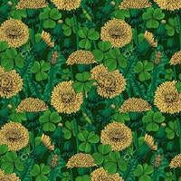 Dandelions and clovers 3 papel de parede