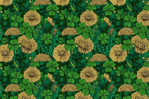 Dandelions and clovers 3