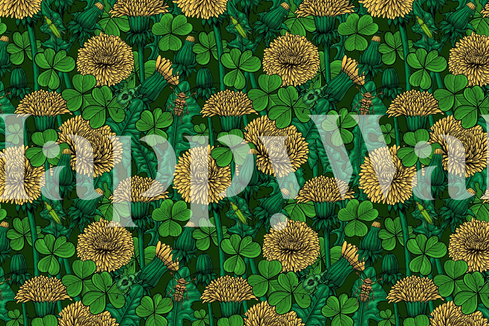 Dandelions and clovers with green background wallpaper